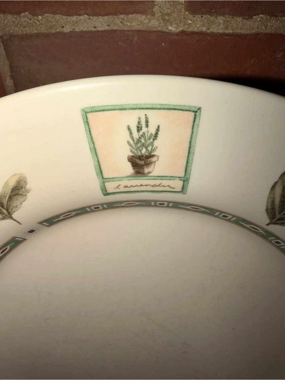 Pfaltzgraff Green Botanical Pattern Ceramic Dinner Plates Set of 14 (7 Each)